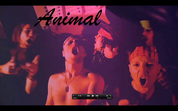 animal